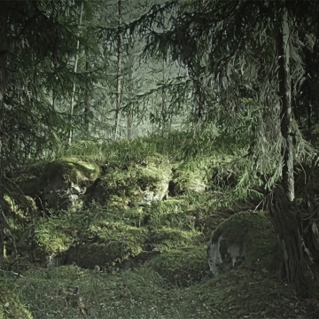Fototapet, Virgin Forest, Rebel Walls - Img 2