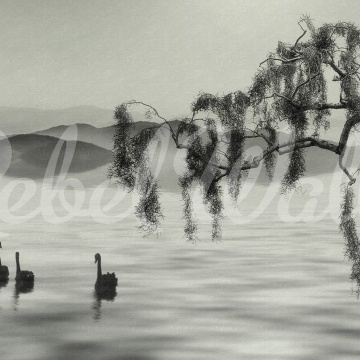 Fototapet, Zen Lake, Rebel Walls - Img 2