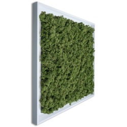 Panou decorativ , Muschi, My Torvtak Moss Green - Img 2