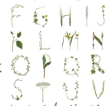 Tapet Floral Alphabet Mini, English, Rebel Walls, 5 mp / rola - Img 2