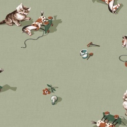 Tapet, Kittens, Mint, Coordonne, 5mp / rola