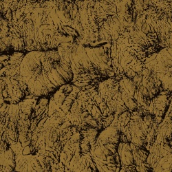 Tapet, Sepia, Gold, Coordonne, 5mp / rola - Img 2