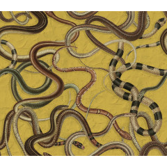 Tapet Snakey, Yellow, Rebel Walls - Img 2