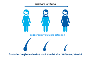 evolutie nivel estrogen si caderea parului