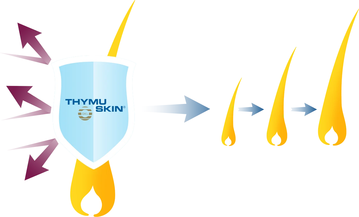 mod de actiune Thymuskin