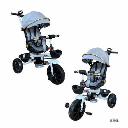Thema sport Tricikl TS-588N sa rotacijom sedišta Sivi