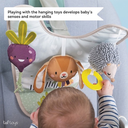 Taf Toys Igračka za auto sa ogledalom Garden in car