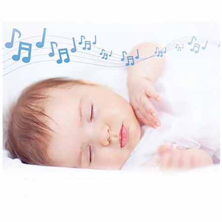 VTech Bebi alarm Audio LCD monitor DM1211