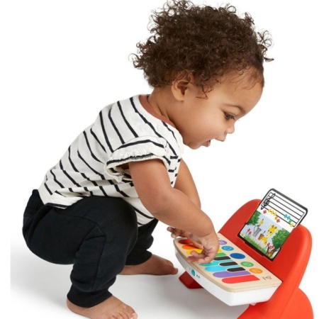 Baby Einstein muzička igračka za razvoj fine motorike i sluha