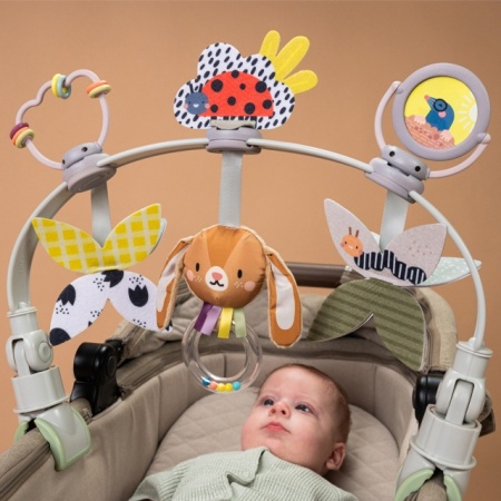 Taf Toys luk sa igračkama za kolica i auto sedište