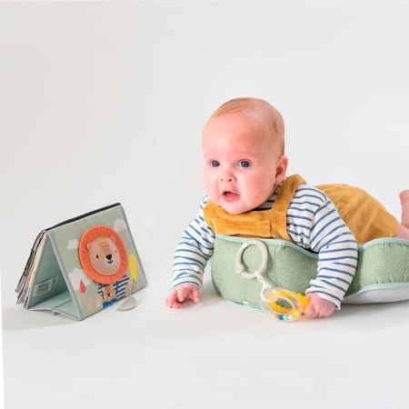 Taf Toys Jastuk za bebe Tummy Time