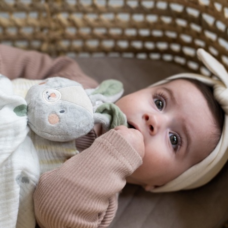Taf Toys blankie za uspavljivanje bebe