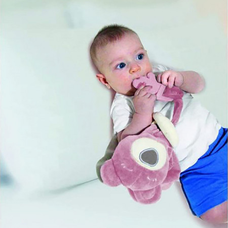BabyJem Igračka Sweet Bear sa glodalicom Pink