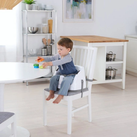 Kids II Ingenuity Booster hranilica Slate
