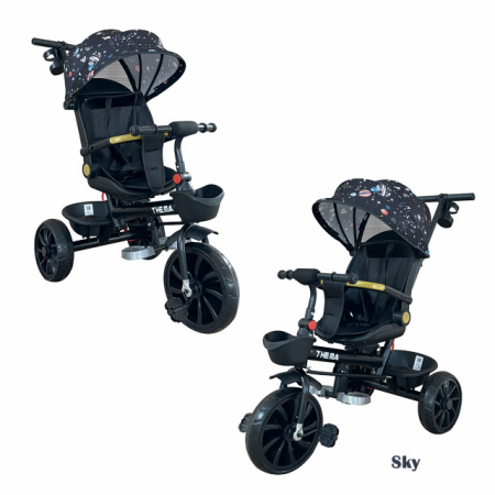 Thema sport Tricikl TS-588 sa rotacijom sedišta Sky