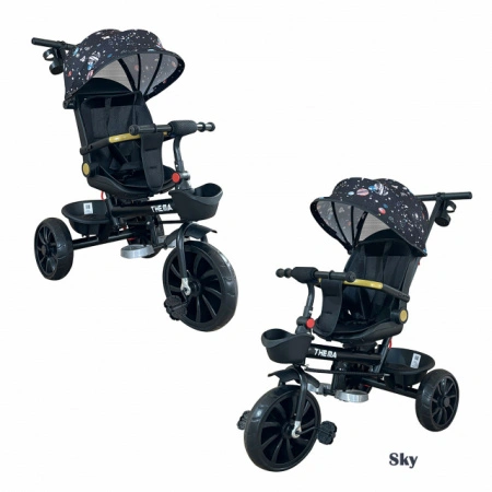 Thema sport Tricikl TS-588 sa rotacijom sedišta Sky