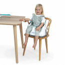 Kids II Ingenuity Booster hranilica MIST SKU16728