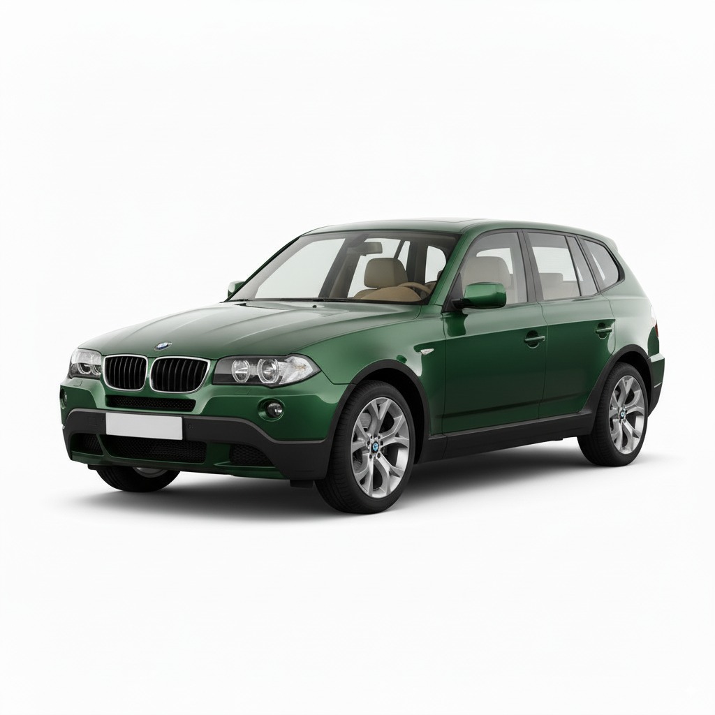 X3 E83 (2003-2011)
