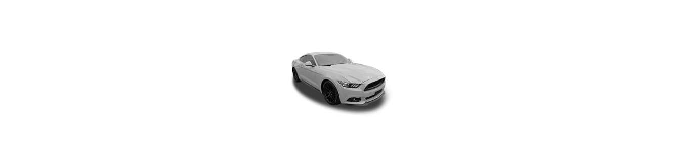 Mustang (2014-2021)