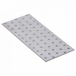Placa PERFORATA 140X55X2 mm (20 BUC)