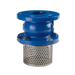 Sorb Cu Clapet Dn100