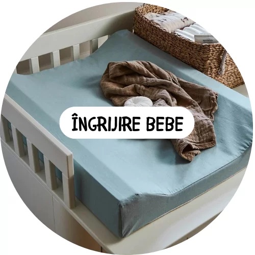 Ingrijire Bebe