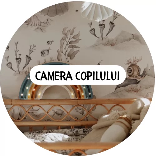 Camera Copilului