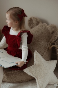 Biscuit Bear Beanbag - Img 2
