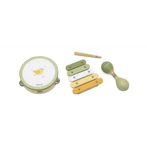 Set de jucării muzicale Păsări