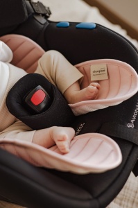 Protecție antitranspiratie pentru scaun auto 3D – Rose Universal - Img 4
