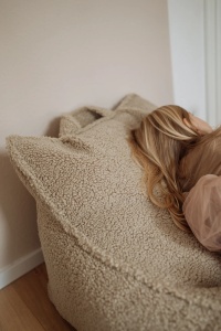 Beanbag Biscuit - Img 5