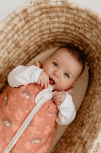Sac de dormit Newborn - Arici 0-4 luni 2,5 TOG - Img 2