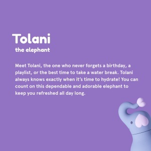 Sticlă termos din oțel inoxidabil Bestie - Elephant - Img 2
