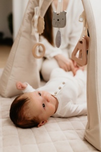 Arcadă activități pentru bebe cu jucării senzoriale – Gri - Img 5