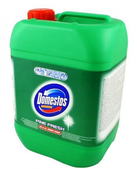 DOMESTOS 24H Detergent Dezinfectant Pine Fresh XXL 5L