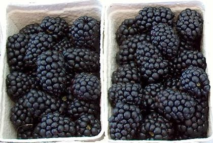 Mure Proaspete cas.125g - 08102090