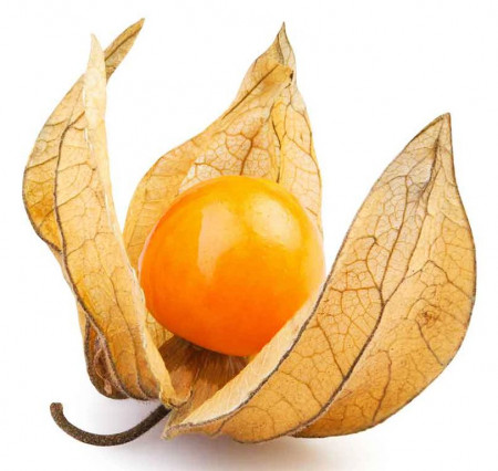 Physalis 100g pret/buc