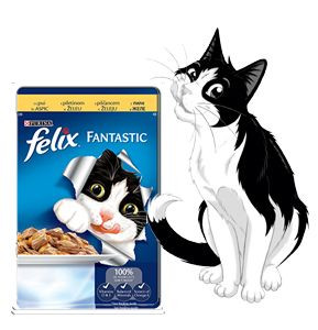 Mancare Umeda pentru Pisici FELIX Pui in Aspic Plic 100g