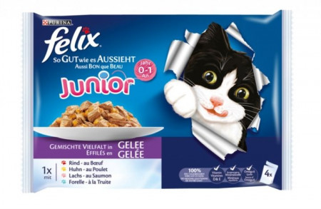 Mancare Umeda pentru Pisici FELIX Junior 4x100g