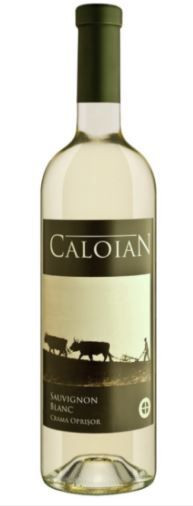 Vin Alb Sauvignon Blanc CALOIAN Sec 750ml - 22042195