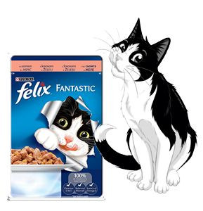 Mancare Umeda pentru Pisici FELIX Somon in Aspic Plic 100g