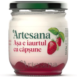 Iaurt cu Visine ARTESANA bo. 160g