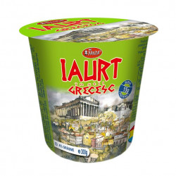 Iaurt Grecesc 10% BIG PANDA 300g