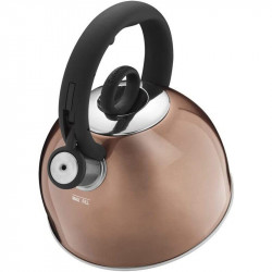 ceai kettle fierbator apa