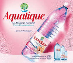 Apa Plata AQUATIQUE 12x500ml - 22011011 - Img 3