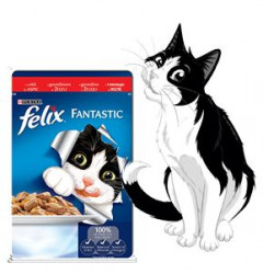 Mancare Umeda pentru Pisici FELIX Vita in Aspic Plic 100g