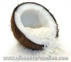 Nuca de Cocos Fulgi M. CHEF 500g