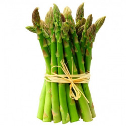 Sparanghel Proaspat Peru cca.450g pret/kg - 07092000