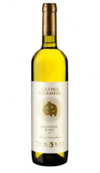 Vin Alb Sauvignon Blanc CASTEL STARMINA VINARTE Sec 750ml - 22042195