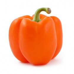 Ardei California Portocaliu Import pret/kg - 07096010